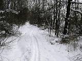zima